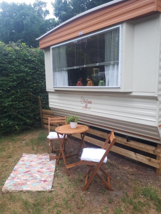 Caravan In Bosrijk Gebied Hotel Zuidlaren Ngoại thất bức ảnh